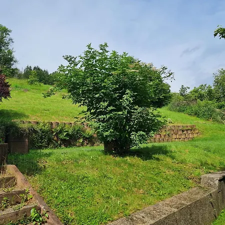 300 Fuer Monteure & Geschaeftsreisende Ruthweiler